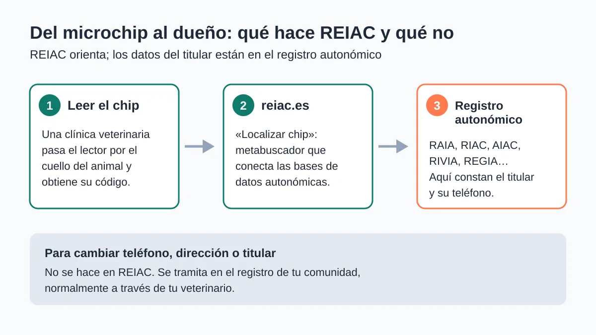 REIAC: qué es y cómo buscar un microchip paso a paso